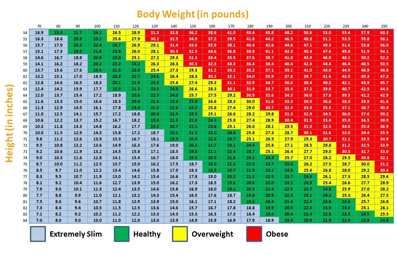 Body Mass Index - Everything You Should Know About Your BMI - Find Your ...