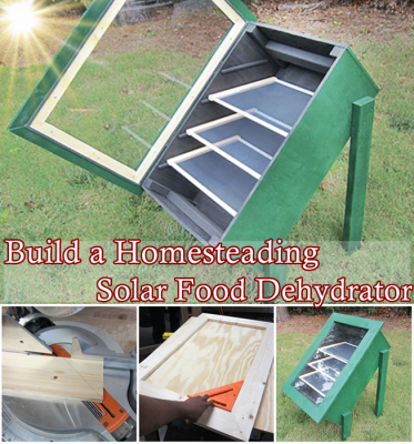 Build A Homesteading Solar Food Dehydrator — Info You Should Know