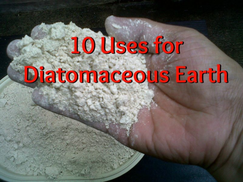 10 Uses For Diatomaceous Earth — Info You Should Know