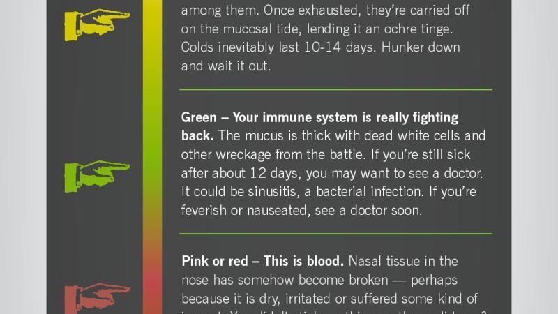 What It Means When Your Snot Is Green — Info You Should Know 