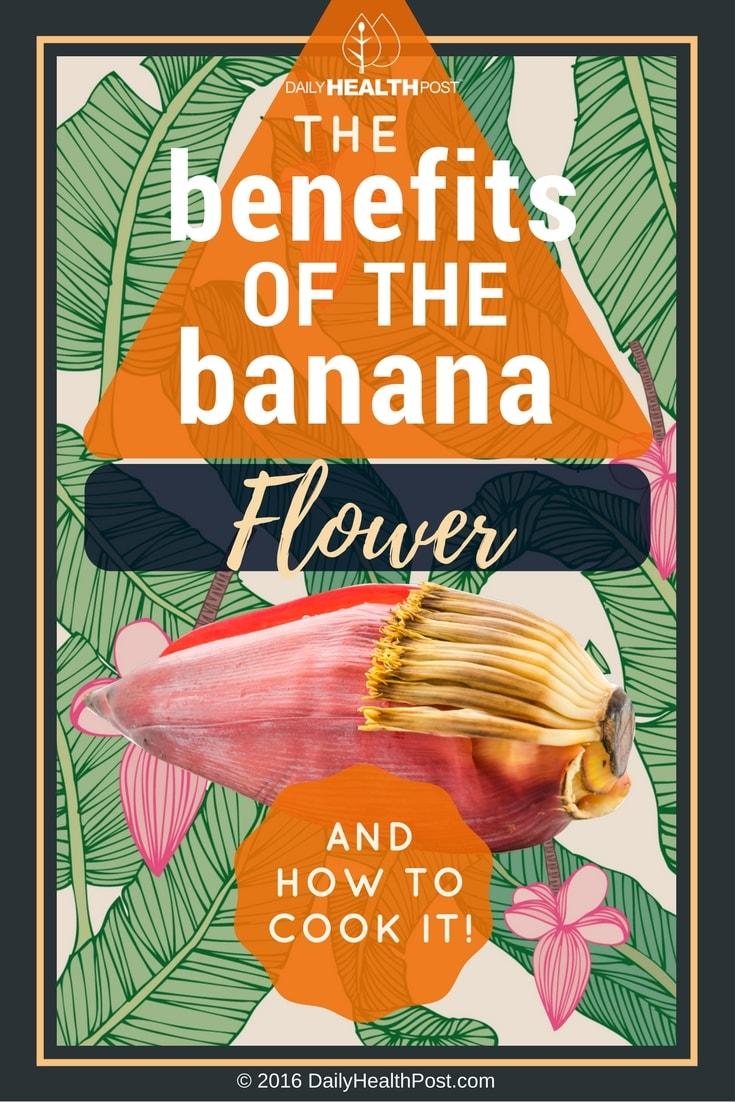 the-benefits-of-the-banana-flower-and-how-to-prepare-it-info-you