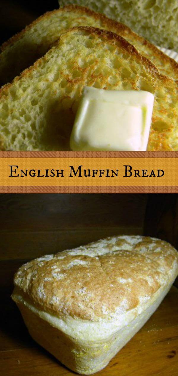 English Muffin Bread: No Knead Toasting Bread — Info You Should Know