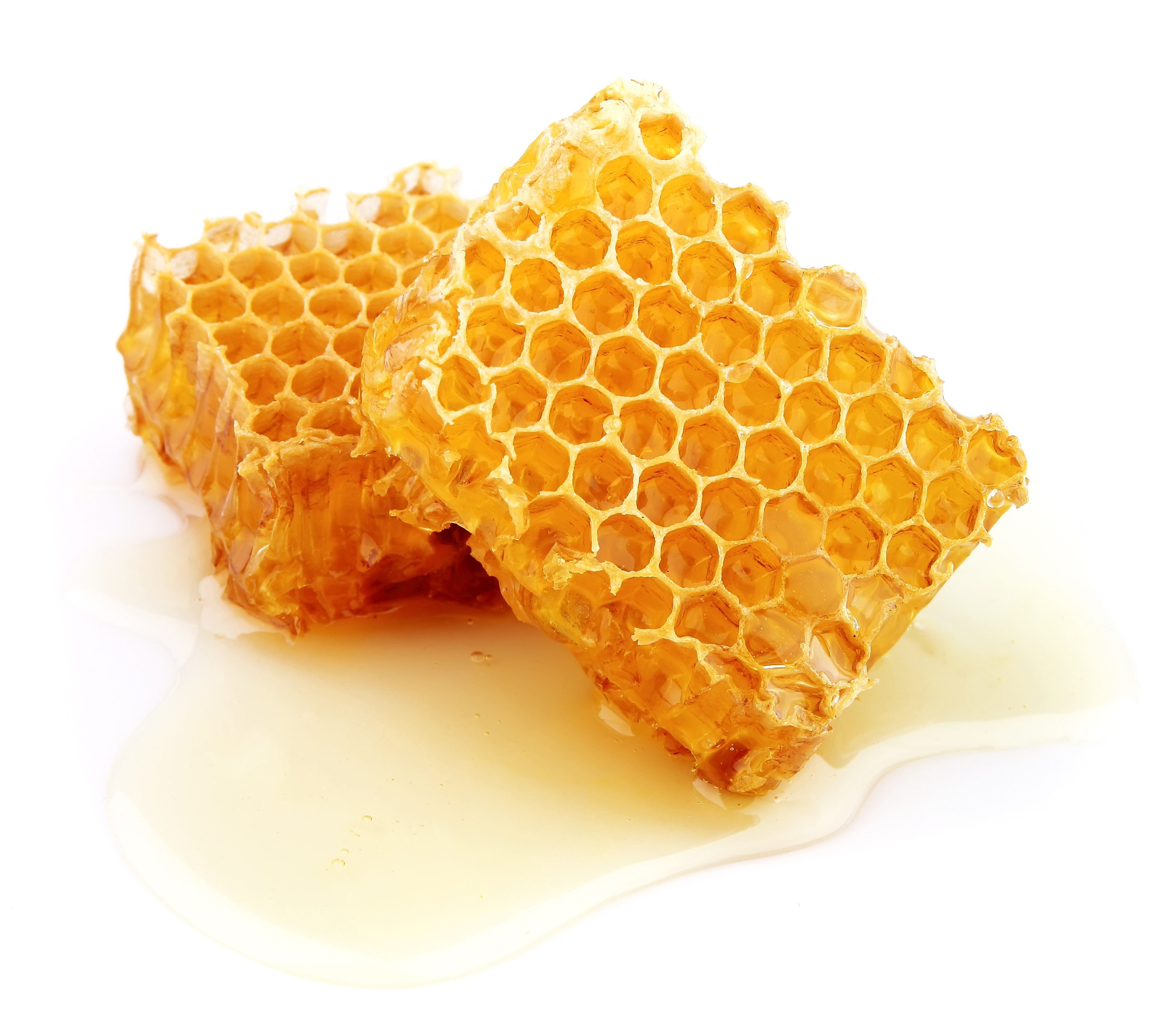 Guide to raising honeybees