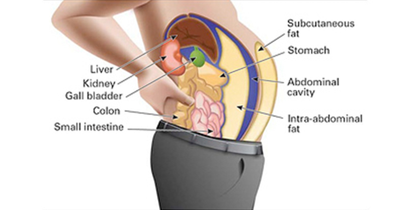 toxins-stored-in-your-fat-cells-are-making-you-fat-and-swollen-here-s